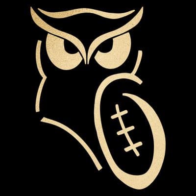 SnapCount owl mascot